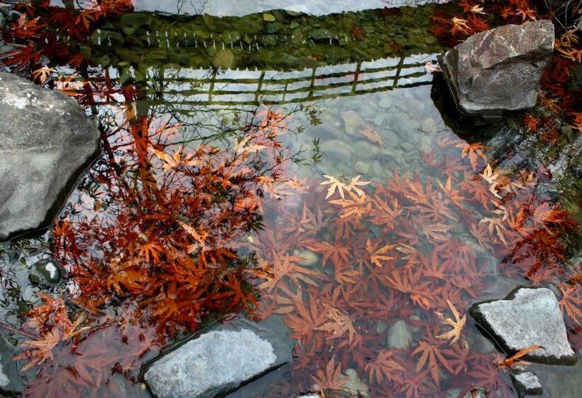 צימר Aperanti Agrotourism