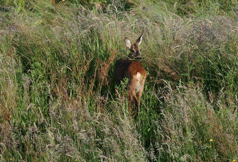 צימר Bed En Breakfast De Houtwiel