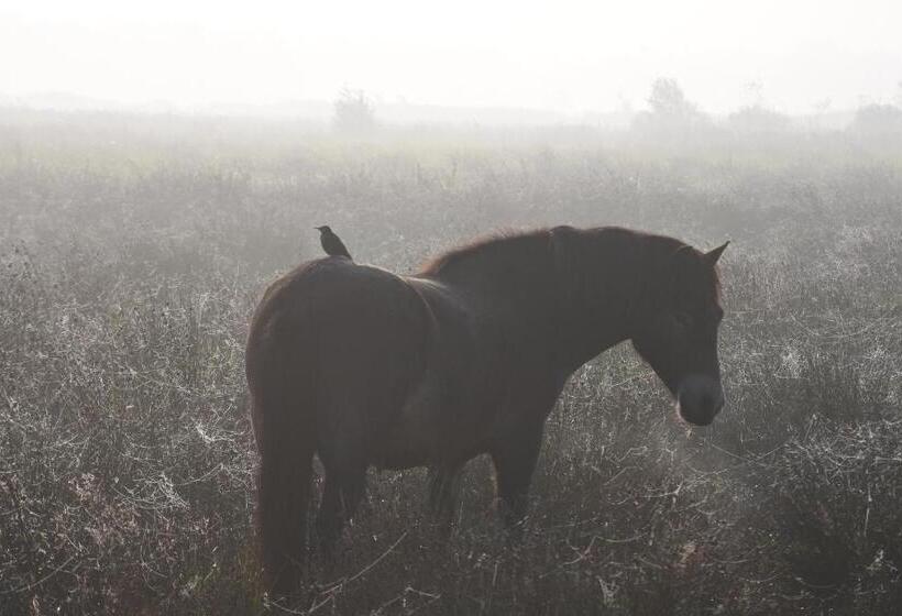 צימר Bed En Breakfast De Houtwiel