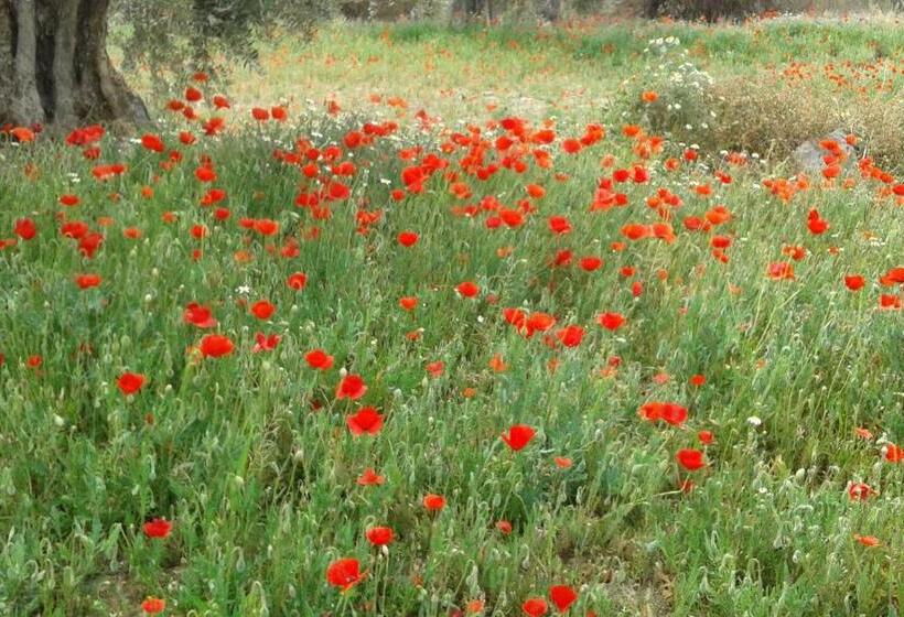 צימר Casa Lamberdina