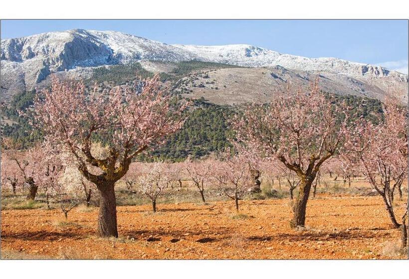 צימר Casa Lamberdina