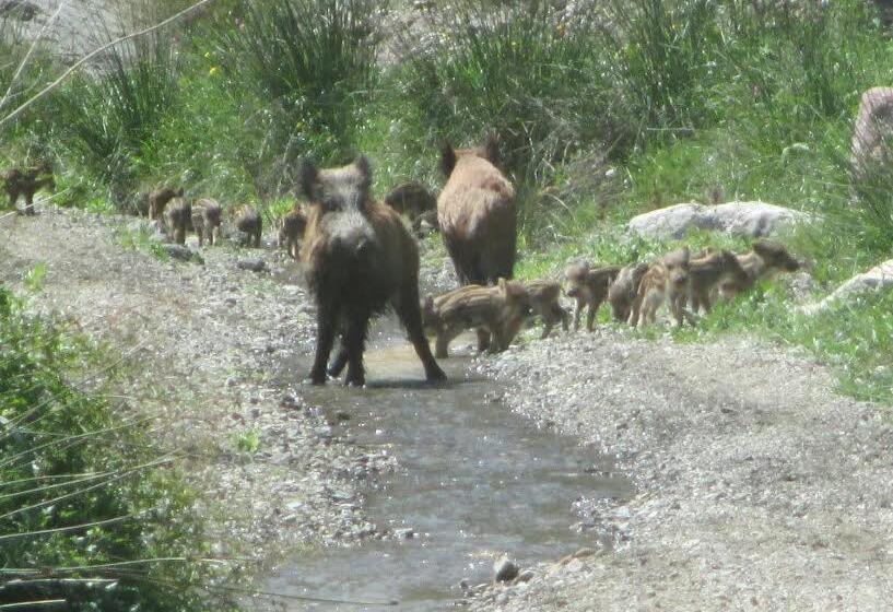 צימר Casa Lamberdina