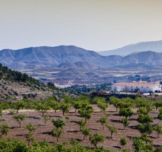צימר Casa Lamberdina