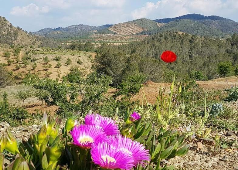 צימר Casa Lamberdina