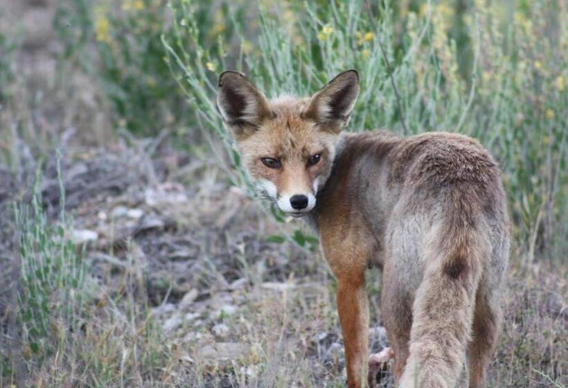 צימר Casa Lamberdina