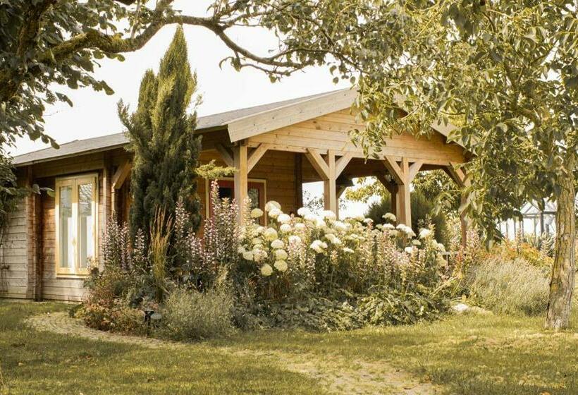 住宿加早餐 Chalet Ben In Broek