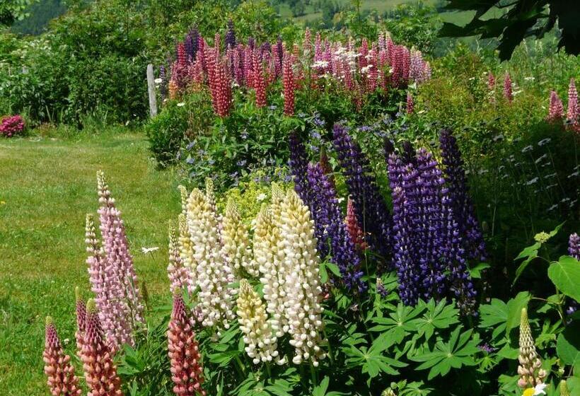 مبيت وإفطار Chambre D Hotes Grange De La Bastide