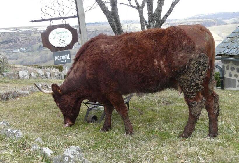 مبيت وإفطار Chambre D Hotes Grange De La Bastide