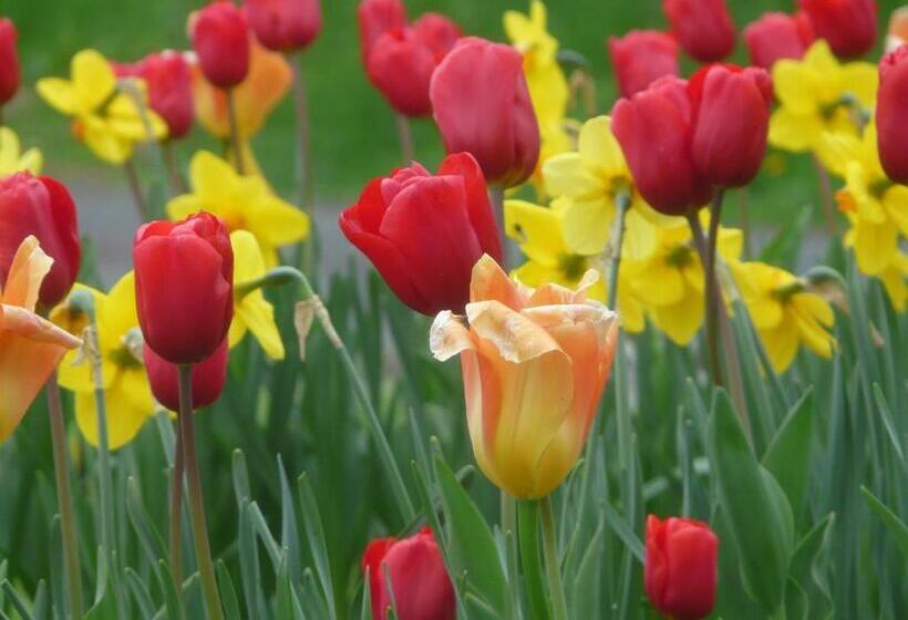 مبيت وإفطار Chambre D Hotes Grange De La Bastide