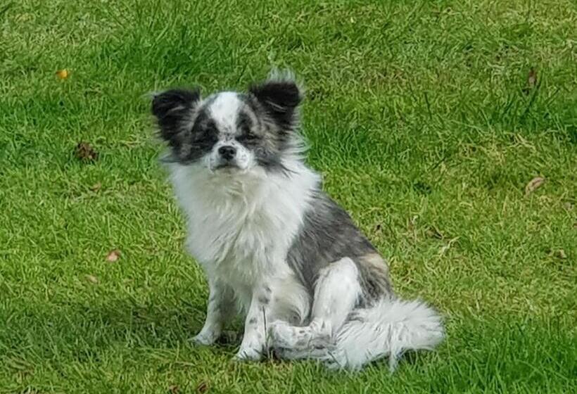 민박 Chambre D Hôtes Le Gachignard