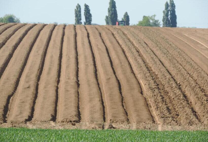 צימר Chambres D Hôtes De La Bucaille