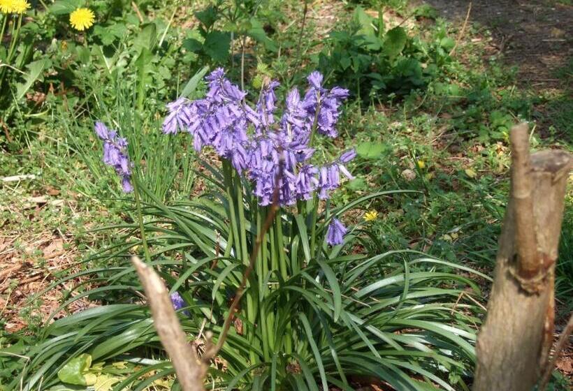 민박 Chambres D Hôtes La Tribu