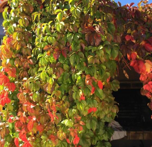 ベッドアンドブレックファースト Chambres Table D Hotes Carpe Diem