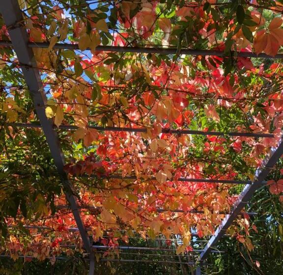 ベッドアンドブレックファースト Chambres Table D Hotes Carpe Diem