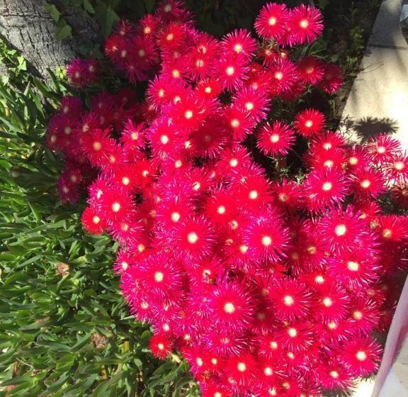 ベッドアンドブレックファースト Chambres Table D Hotes Carpe Diem