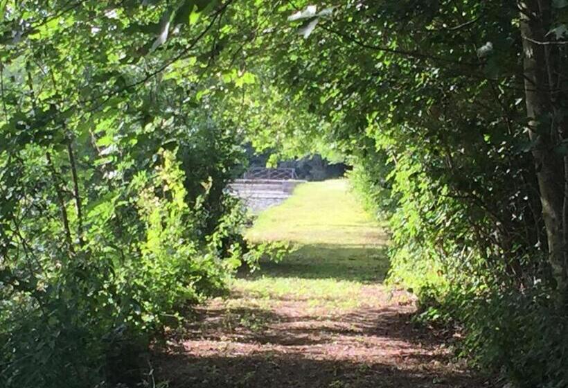 Bed and Breakfast Château De Vitry La Ville