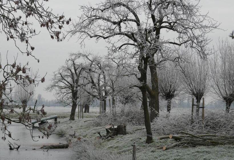 ベッドアンドブレックファースト De Boomgaard Groene Hart