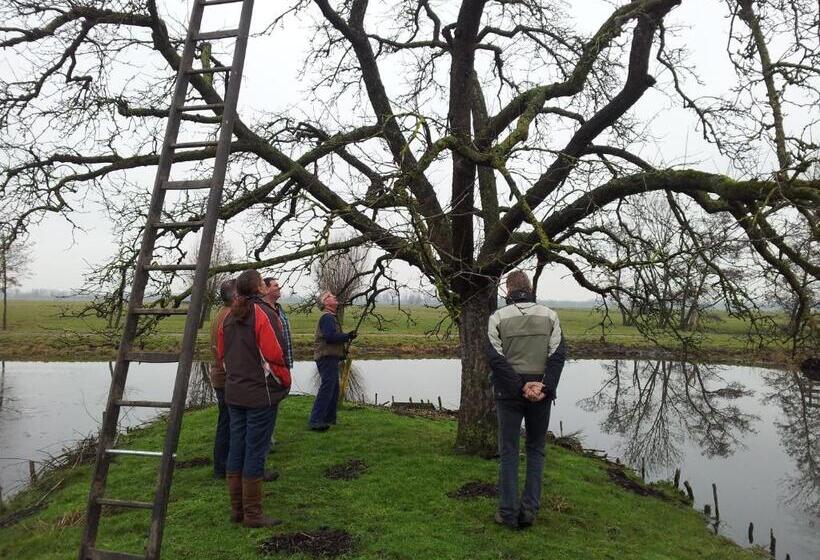ベッドアンドブレックファースト De Boomgaard Groene Hart