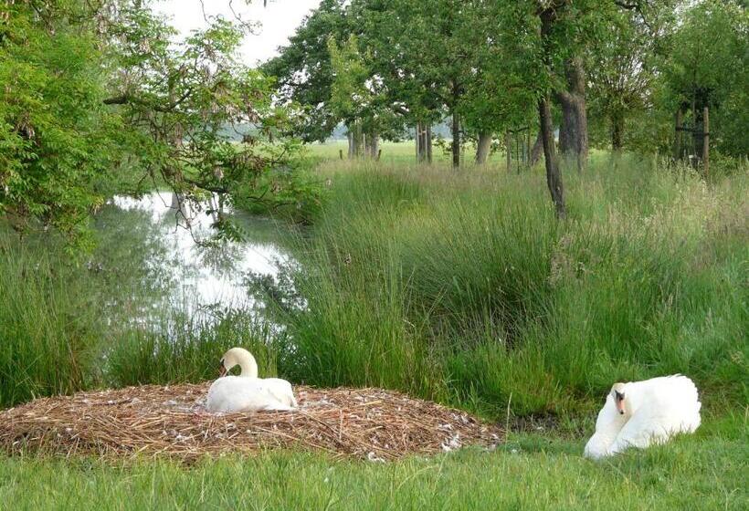 ベッドアンドブレックファースト De Boomgaard Groene Hart