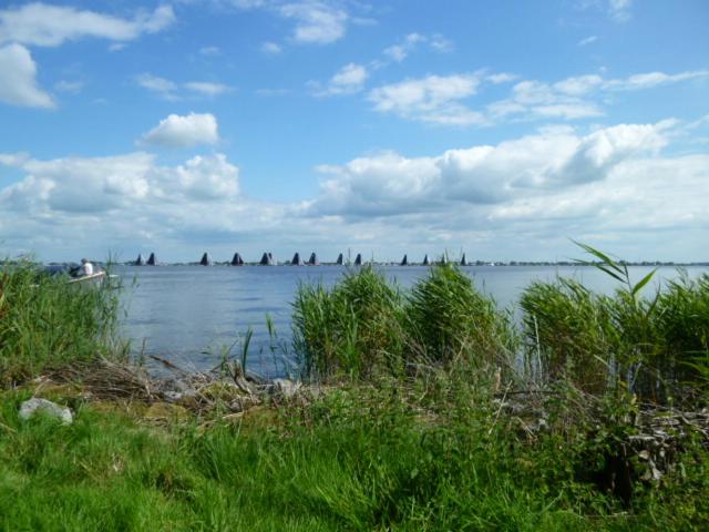 مبيت وإفطار De Wylgepleats