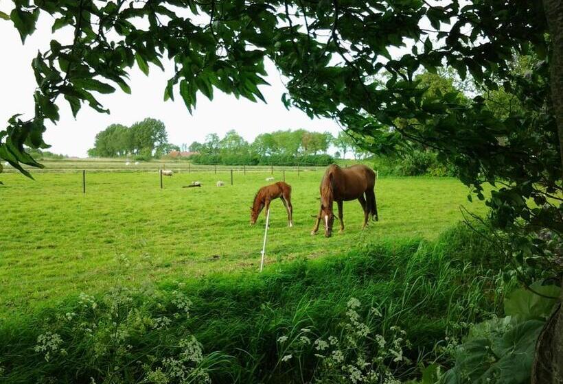 مبيت وإفطار De Wylgepleats