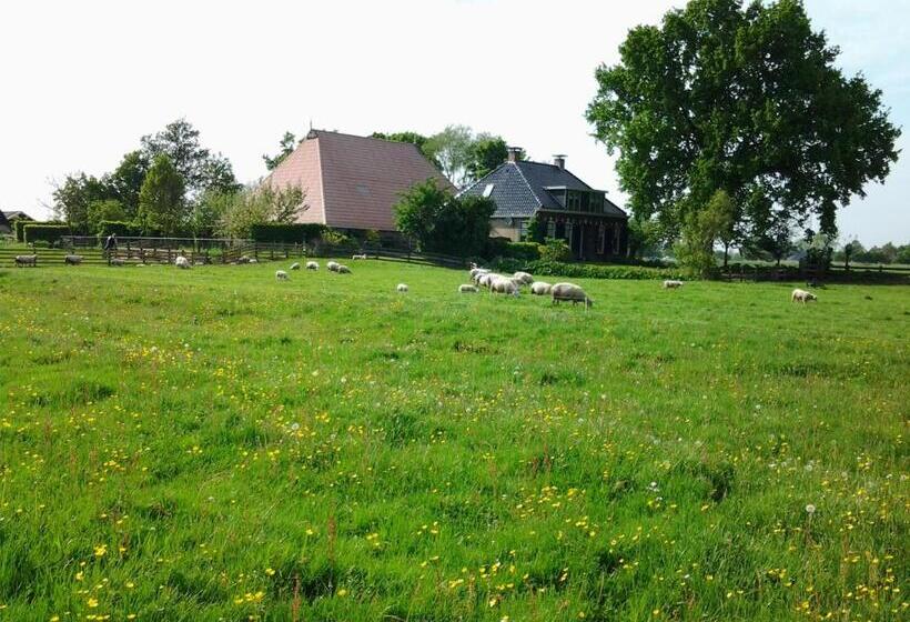 مبيت وإفطار De Wylgepleats