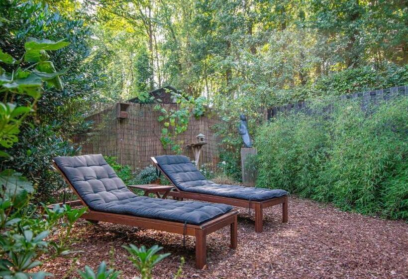 צימר Drentse Krent