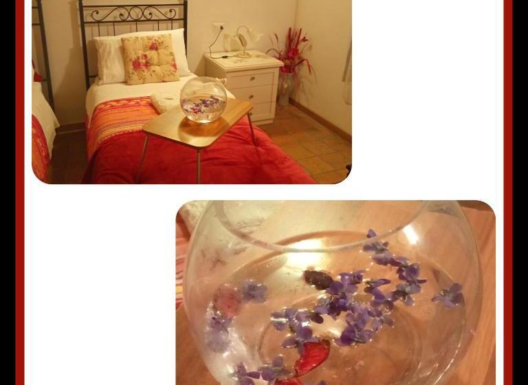 مبيت وإفطار Felix House