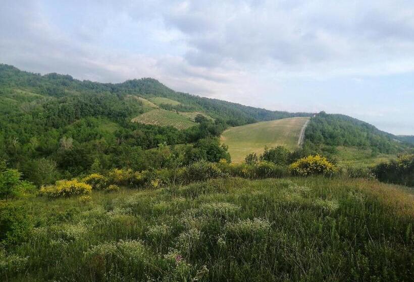 مبيت وإفطار Felix House