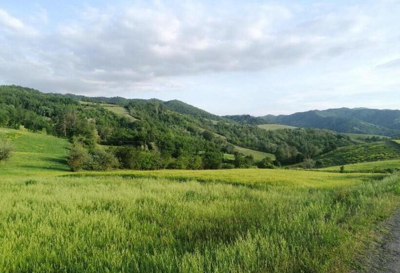 مبيت وإفطار Felix House