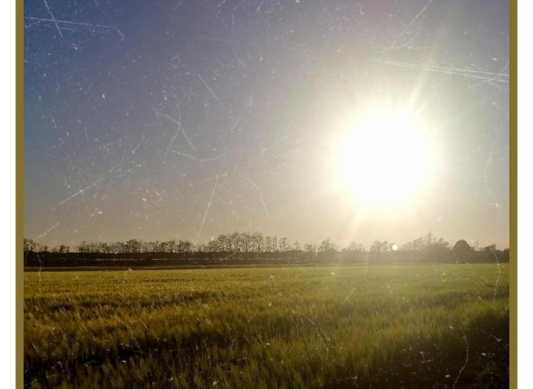 مبيت وإفطار Felix House