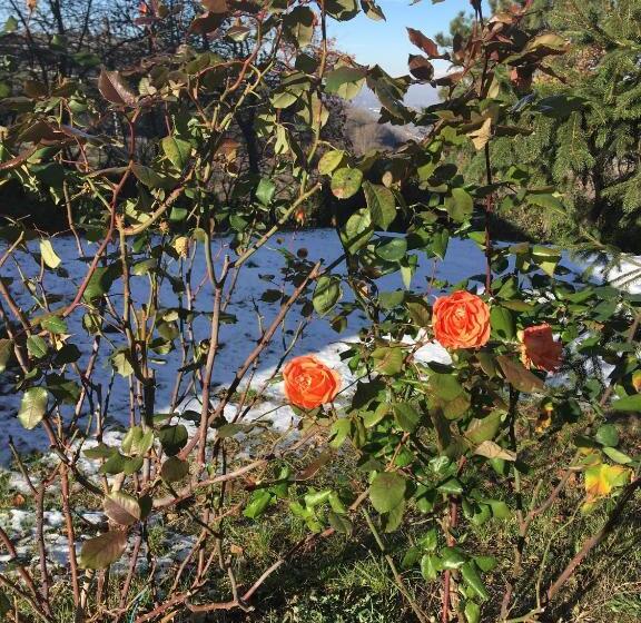 مبيت وإفطار Gli Acini