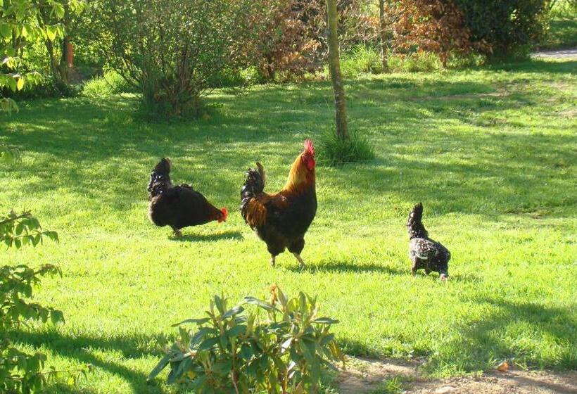 צימר Gîte De La Cour