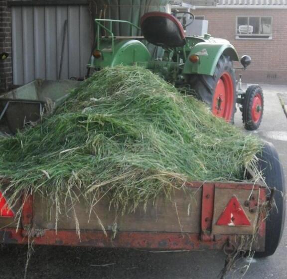 Bed And Breakfast Hoeve Spoorzicht