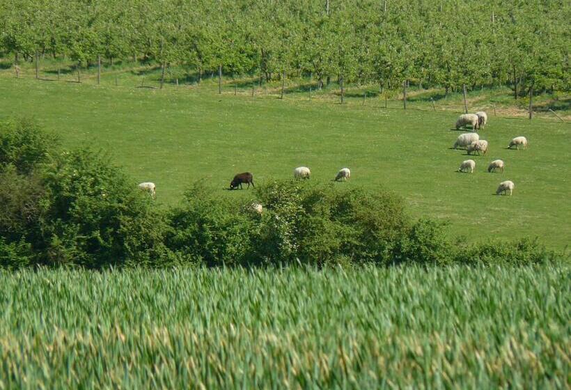 צימר Huis Van Rooi