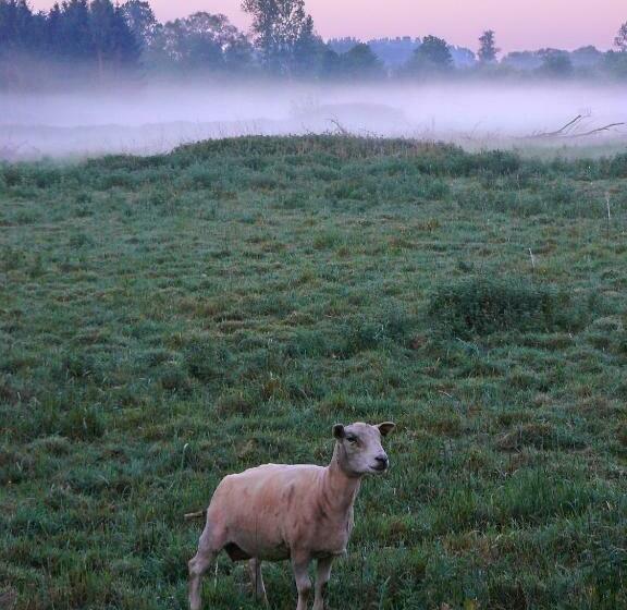 צימר Huis Van Rooi
