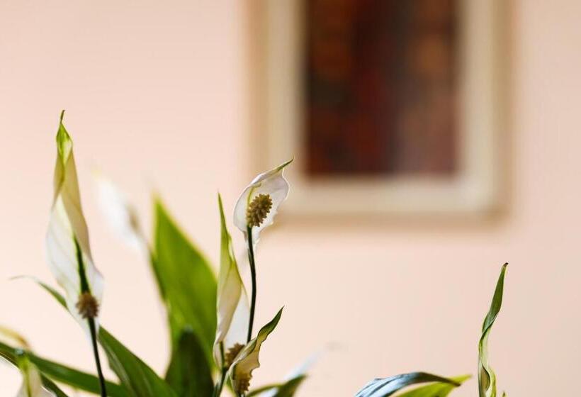 مبيت وإفطار Il Castellaro