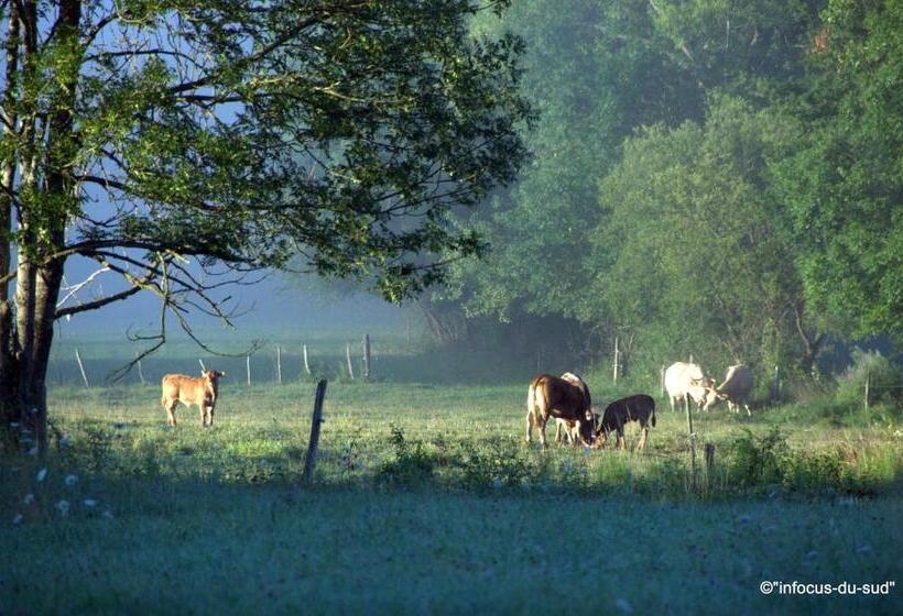 Bed and Breakfast Infocus Du Sud