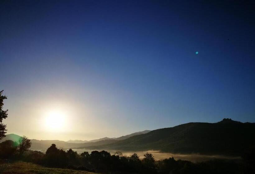 Bed and Breakfast Infocus Du Sud