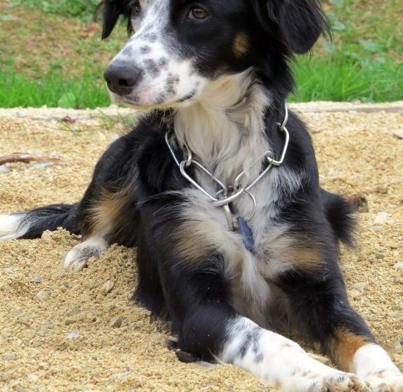 Bed and Breakfast Infocus Du Sud