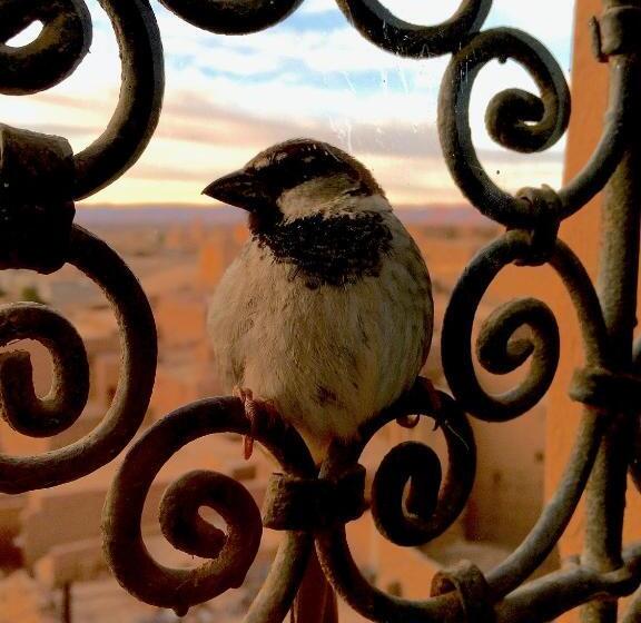 민박 Kasbah Oulad Othmane