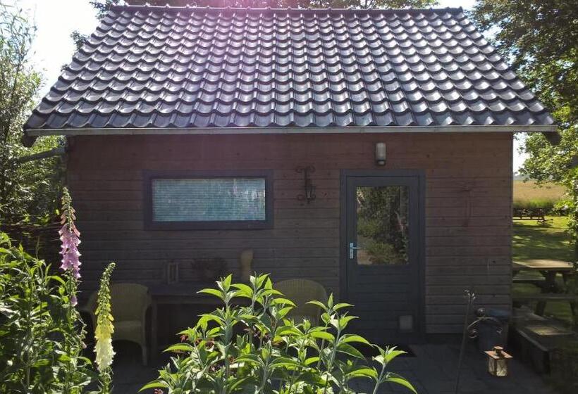 住宿加早餐  Kleine Buurt Aan De Weide