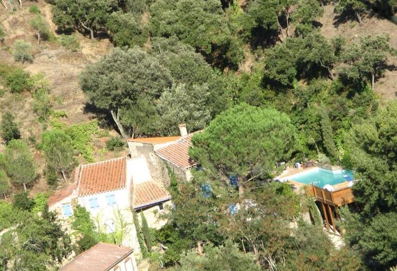 住宿加早餐 L Oliveraie Des 3 Mas