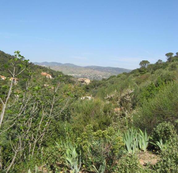 住宿加早餐 L Oliveraie Des 3 Mas