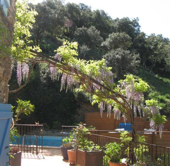 住宿加早餐 L Oliveraie Des 3 Mas