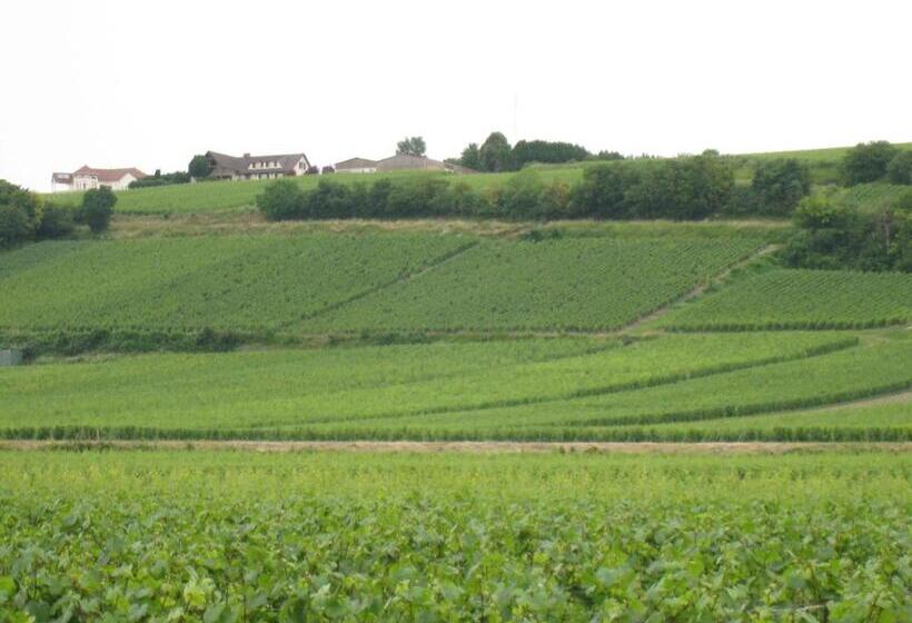 민박 La Chambre D Amis La Costignieres