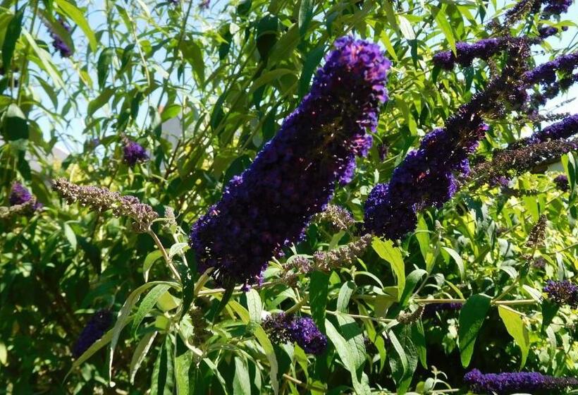 צימר La Cle Des Sens