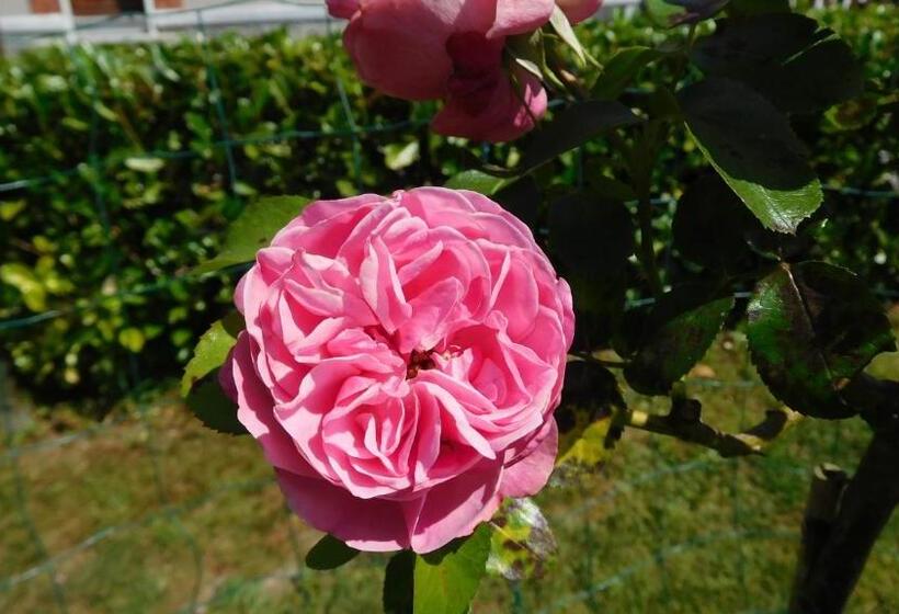 צימר La Cle Des Sens