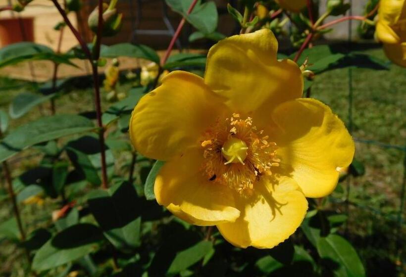 צימר La Cle Des Sens