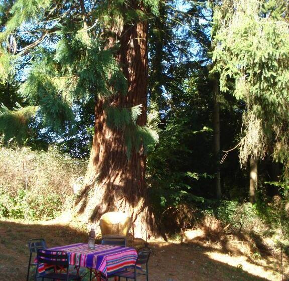 צימר La Lune En Bulles